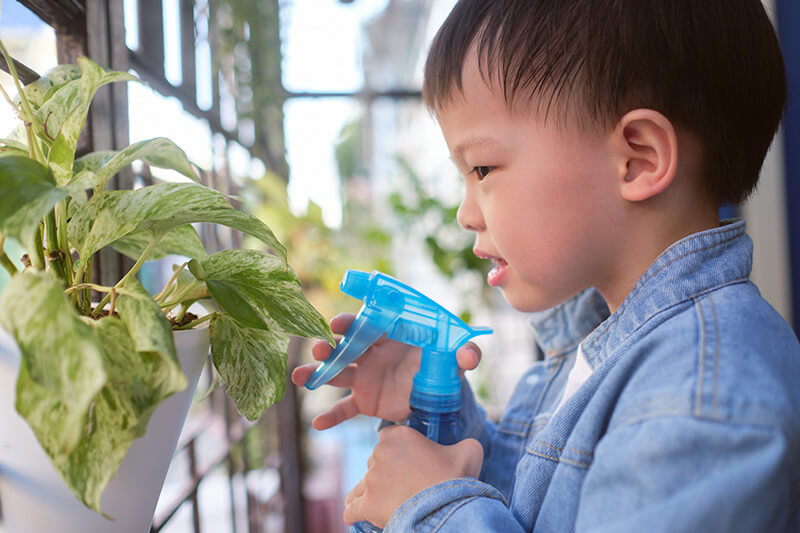 Home consulting - Enfant s'occupant d'une plante